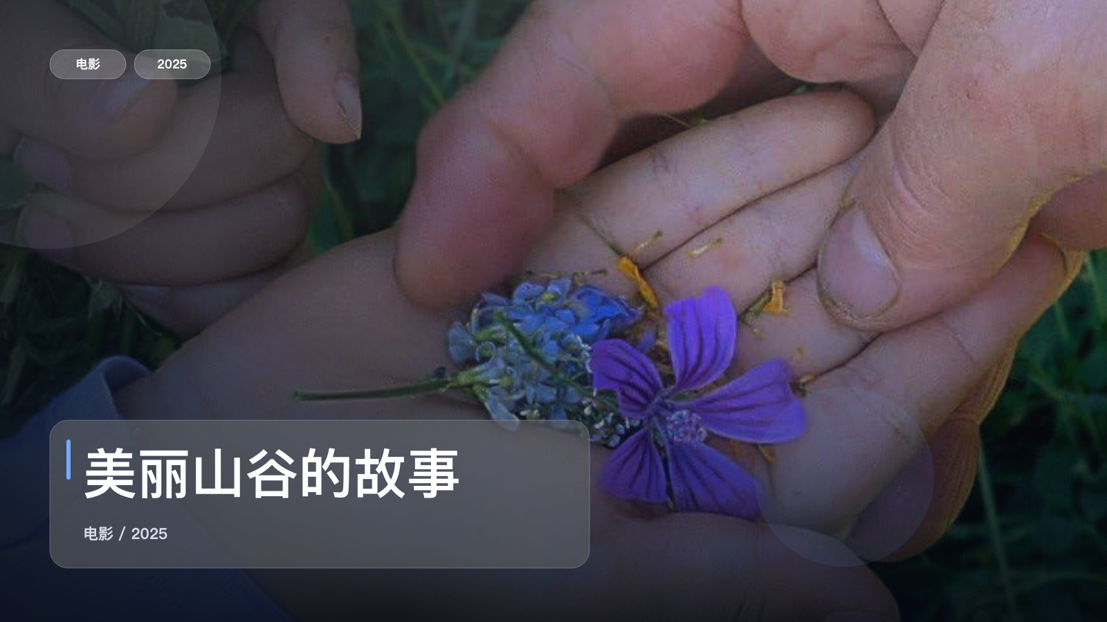 美丽山谷的故事