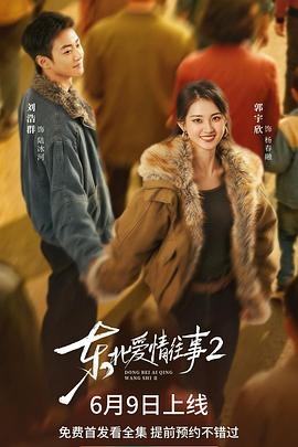 东北爱情往事2